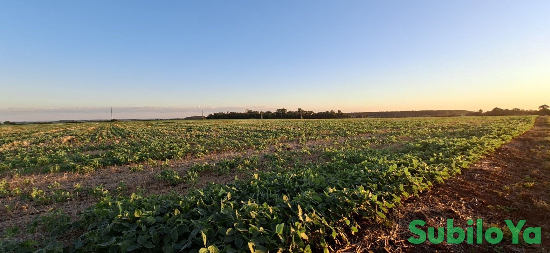 For sale 25 ha in Vacay 30, Itapúa, Paraguay