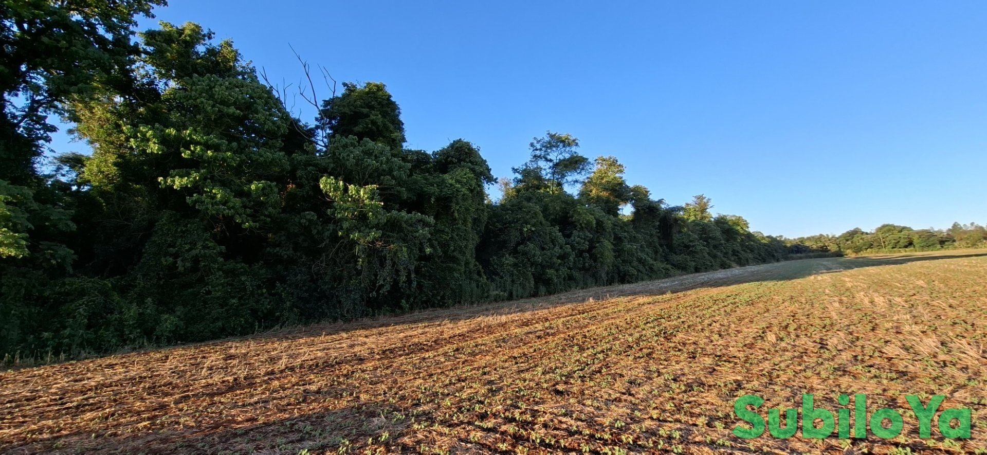 For sale 25 ha in Vacay 30, Itapúa, Paraguay