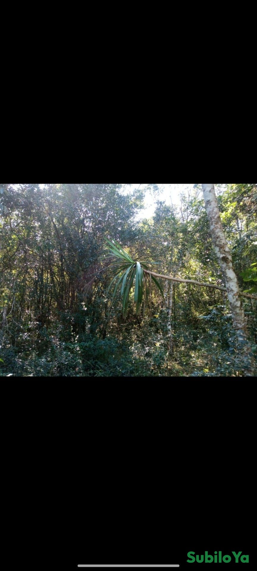 5 hectare land for sale titled.