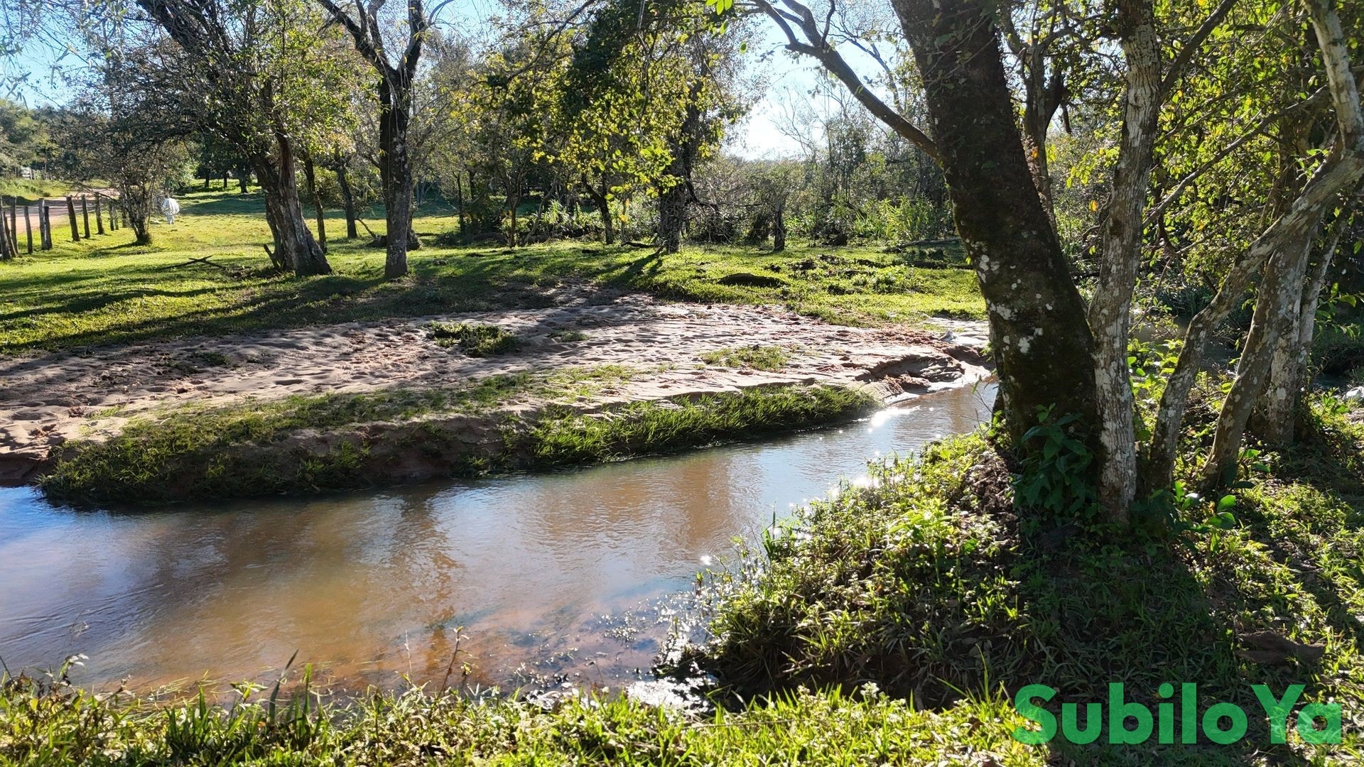 Dividable property from 4 hectares near Colonia Independencia - with forest, open spaces and stream